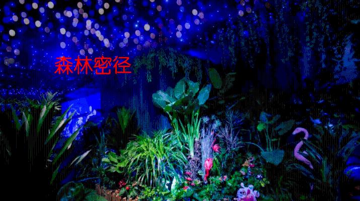 【新版】新东方新概念英语4册，剑桥口语4册霍娜，田静，李延隆全套【完结】